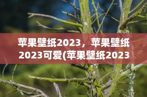 苹果壁纸2023，苹果壁纸2023可爱(苹果壁纸2023最新壁纸)