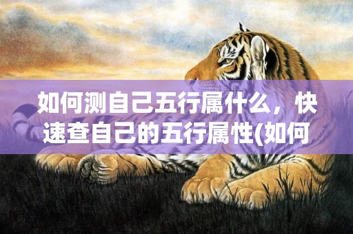 如何测自己五行属什么，快速查自己的五行属性(如何测五行缺什么?)