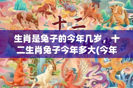 生肖是兔子的今年几岁，十二生肖兔子今年多大(今年是啥兔子生肖)
