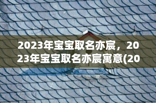 2023年宝宝取名亦宸，2023年宝宝取名亦宸寓意(2023年宝宝取名宜忌)