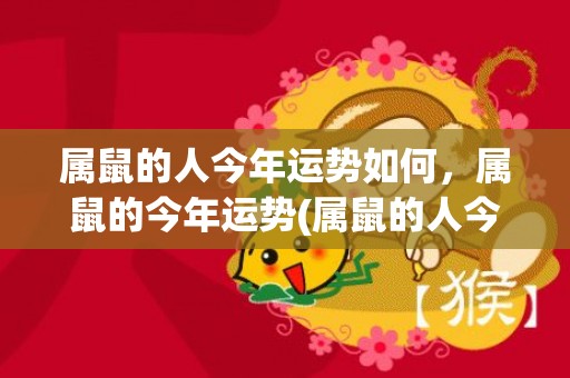 属鼠的人今年运势如何，属鼠的今年运势(属鼠的人今年的运势和财运)