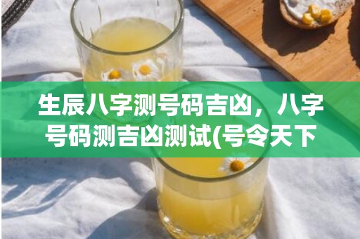 生辰八字测号码吉凶，八字号码测吉凶测试(号令天下生辰八字测号码)
