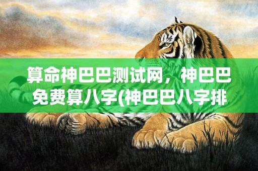 算命神巴巴测试网，神巴巴免费算八字(神巴巴八字排盘免费算命)