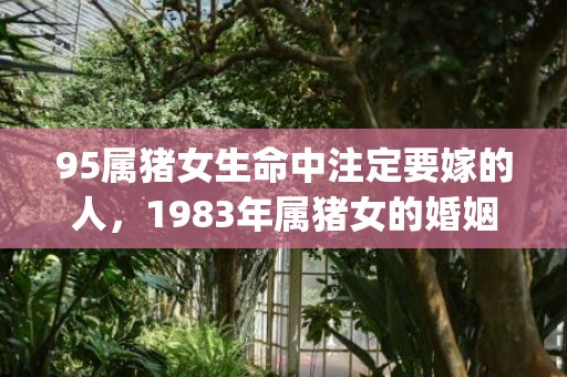 95属猪女生命中注定要嫁的人，1983年属猪女的婚姻和命运(95属猪女生命中注定要嫁的人属猴女和属狗男)