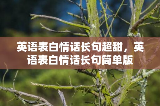 英语表白情话长句超甜，英语表白情话长句简单版