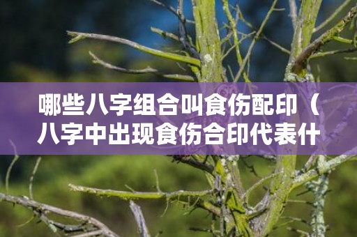 哪些八字组合叫食伤配印（八字中出现食伤合印代表什么伤官配印和印用食伤）