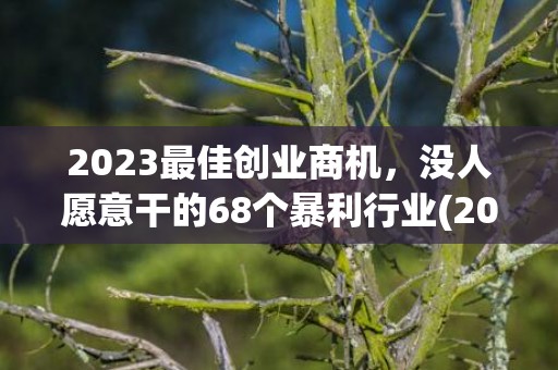2023最佳创业商机，没人愿意干的68个暴利行业(2023最佳创业商机男人)
