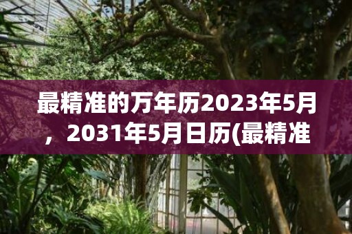 最精准的万年历2023年5月，2031年5月日历(最精准的万年历)