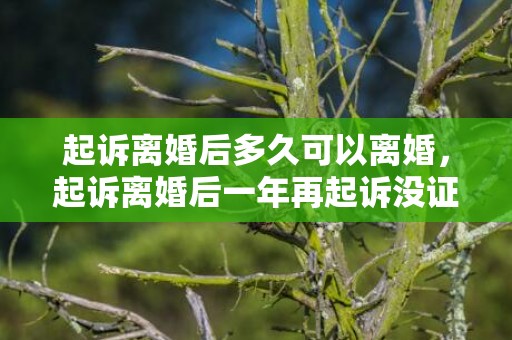 起诉离婚后多久可以离婚，起诉离婚后一年再起诉没证据就可以直接叛离吗