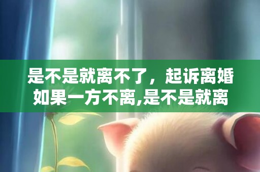 是不是就离不了，起诉离婚如果一方不离,是不是就离不了婚