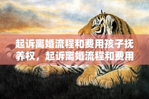 起诉离婚流程和费用孩子抚养权，起诉离婚流程和费用2020年多少钱呢怎么算