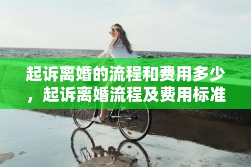 起诉离婚的流程和费用多少，起诉离婚流程及费用标准是多少钱一次