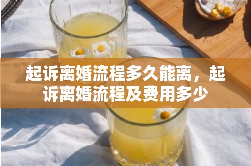 起诉离婚流程多久能离，起诉离婚流程及费用多少