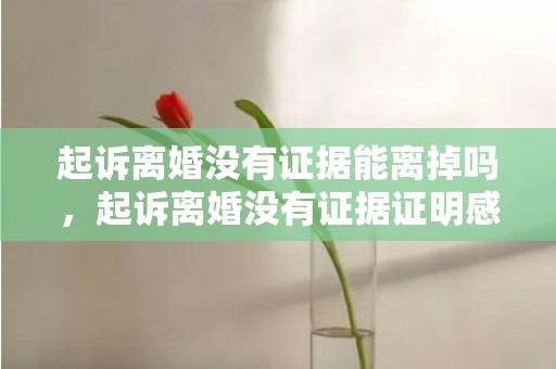 起诉离婚没有证据能离掉吗，起诉离婚没有证据证明感情破裂可以判决吗