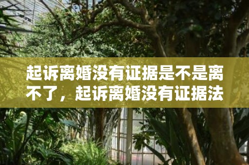 起诉离婚没有证据是不是离不了，起诉离婚没有证据法院会受理吗怎么办