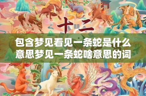 包含梦见看见一条蛇是什么意思梦见一条蛇啥意思的词条