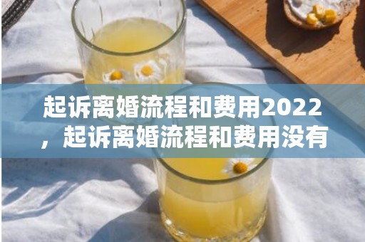 起诉离婚流程和费用2022，起诉离婚流程和费用没有财产纠纷吗怎么办