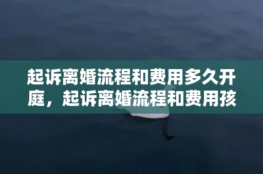 起诉离婚流程和费用多久开庭，起诉离婚流程和费用孩子抚养权有关系吗知乎