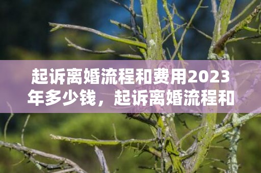 起诉离婚流程和费用2023年多少钱，起诉离婚流程和费用孩子抚养权一样吗怎么办理