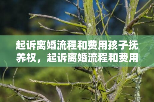 起诉离婚流程和费用孩子抚养权，起诉离婚流程和费用20万0.5缴纳多少钱