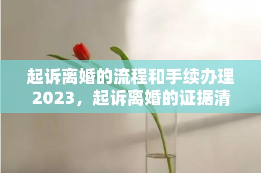 起诉离婚的流程和手续办理2023，起诉离婚的证据清单是什么样的