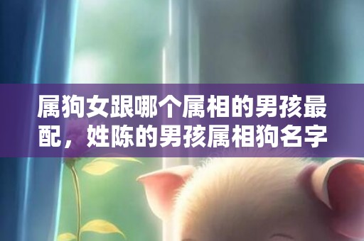 属狗女跟哪个属相的男孩最配，姓陈的男孩属相狗名字