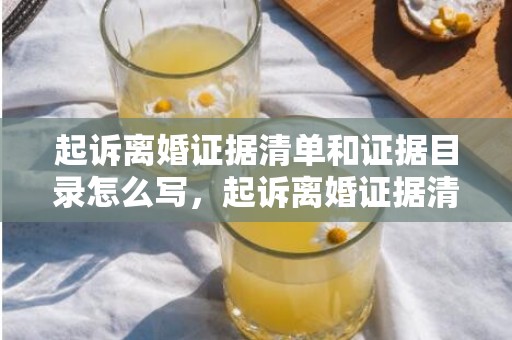 起诉离婚证据清单和证据目录怎么写，起诉离婚证据清单出生证名怎么写