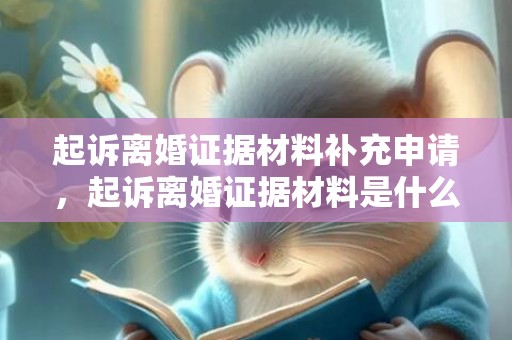 起诉离婚证据材料补充申请，起诉离婚证据材料是什么意思呀怎么写