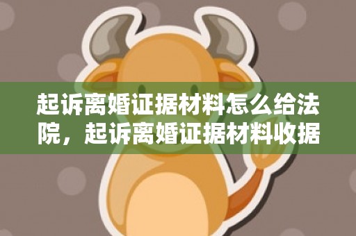 起诉离婚证据材料怎么给法院，起诉离婚证据材料收据范本模板