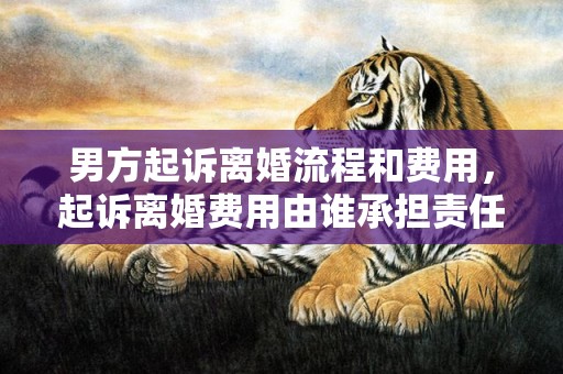 男方起诉离婚流程和费用，起诉离婚费用由谁承担责任