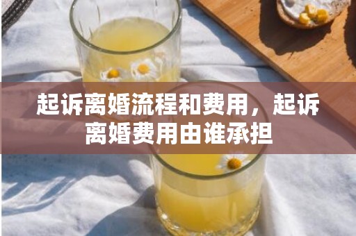起诉离婚流程和费用，起诉离婚费用由谁承担