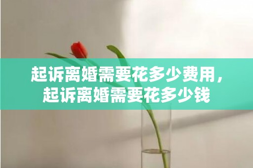 起诉离婚需要花多少费用，起诉离婚需要花多少钱