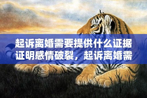 起诉离婚需要提供什么证据证明感情破裂，起诉离婚需要提供什么证据开庭审理案件