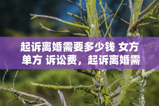 起诉离婚需要多少钱 女方 单方 诉讼费，起诉离婚需要多少手续费用