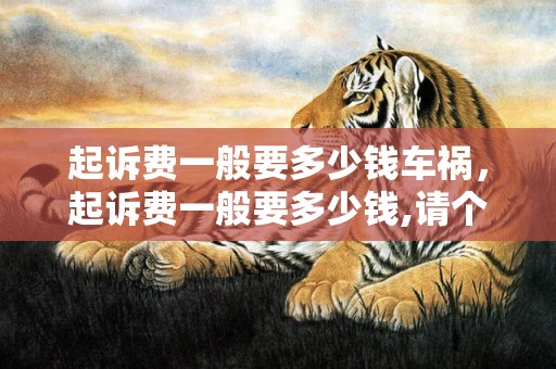 起诉费一般要多少钱车祸，起诉费一般要多少钱,请个律师多少钱