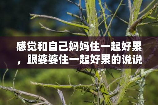 感觉和自己妈妈住一起好累，跟婆婆住一起好累的说说