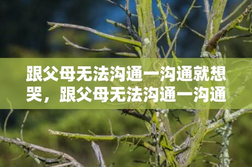 跟父母无法沟通一沟通就想哭，跟父母无法沟通一沟通就会吵架不想回家了