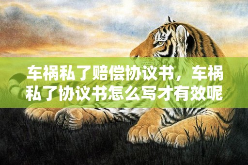 车祸私了赔偿协议书，车祸私了协议书怎么写才有效呢
