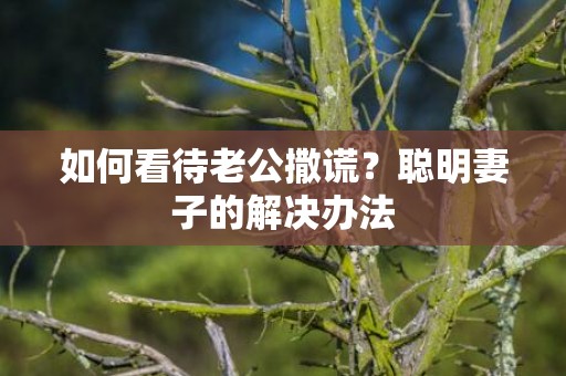 如何看待老公撒谎？聪明妻子的解决办法