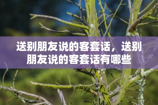 送别朋友说的客套话，送别朋友说的客套话有哪些