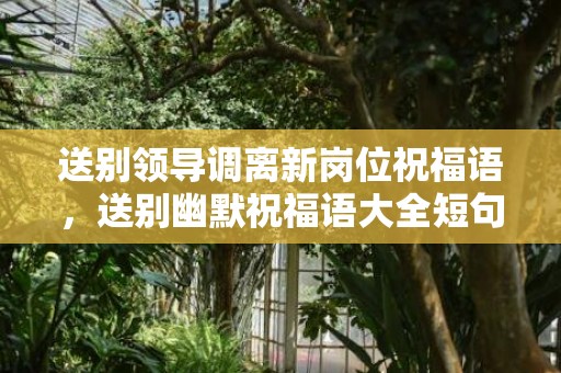 送别领导调离新岗位祝福语，送别幽默祝福语大全短句