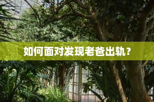 如何面对发现老爸出轨？