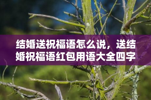 结婚送祝福语怎么说，送结婚祝福语红包用语大全四字怎么写的