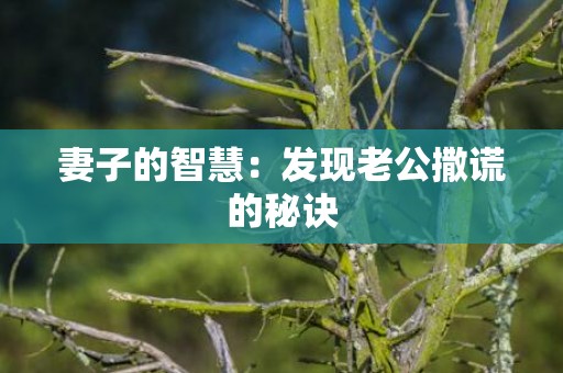 妻子的智慧：发现老公撒谎的秘诀
