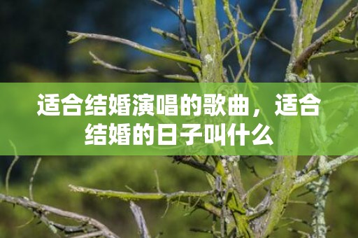 适合结婚演唱的歌曲，适合结婚的日子叫什么