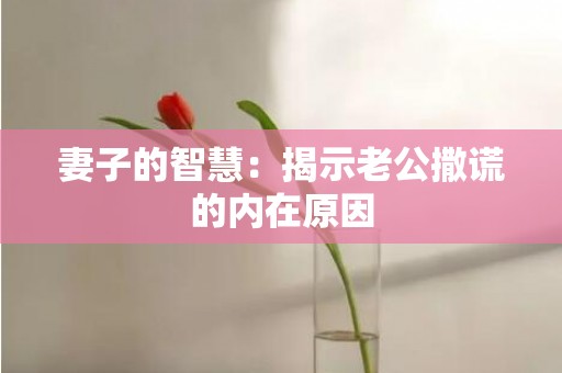 妻子的智慧：揭示老公撒谎的内在原因