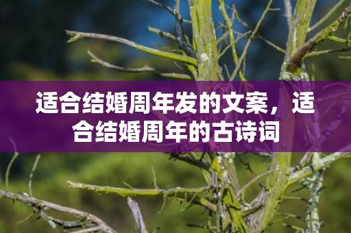 适合结婚周年发的文案，适合结婚周年的古诗词