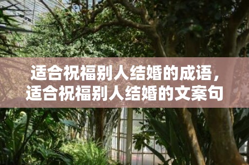 适合祝福别人结婚的成语，适合祝福别人结婚的文案句子