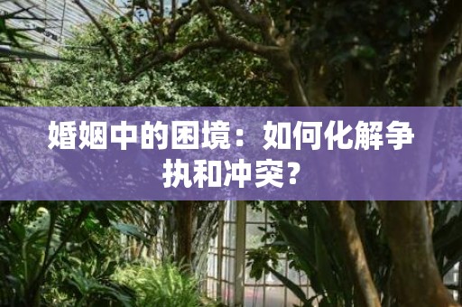 婚姻中的困境：如何化解争执和冲突？