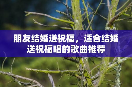朋友结婚送祝福，适合结婚送祝福唱的歌曲推荐